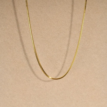 Dorado